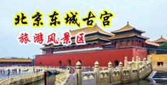 欧美爆力强奸丝袜女中国北京-东城古宫旅游风景区